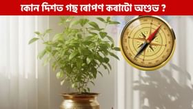 ঘৰৰ কোন দিশত গছ ৰোপণ কৰাটো অশুভ ? এই বাস্তু নিয়মবোৰ জানি লওক