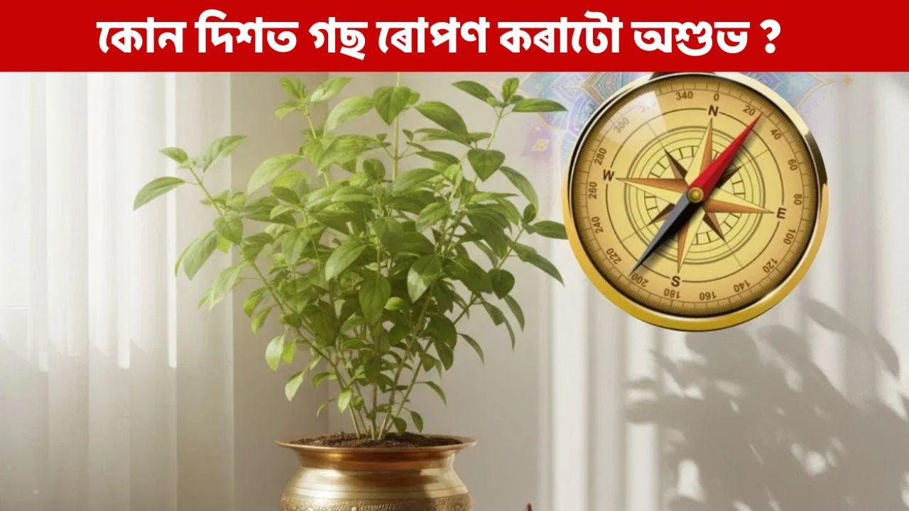 Vastu Tips for Plants: ঘৰৰ কোন দিশত গছ ৰোপণ কৰাটো অশুভ ? এই বাস্তু নিয়মবোৰ জানি লওক