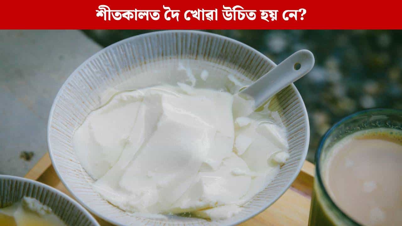 শীতকালত দৈ খোৱাটো উচিত নে অনুচিত? বহুলোকেই নাজানে এই প্ৰশ্নৰ সঠিক উত্তৰ