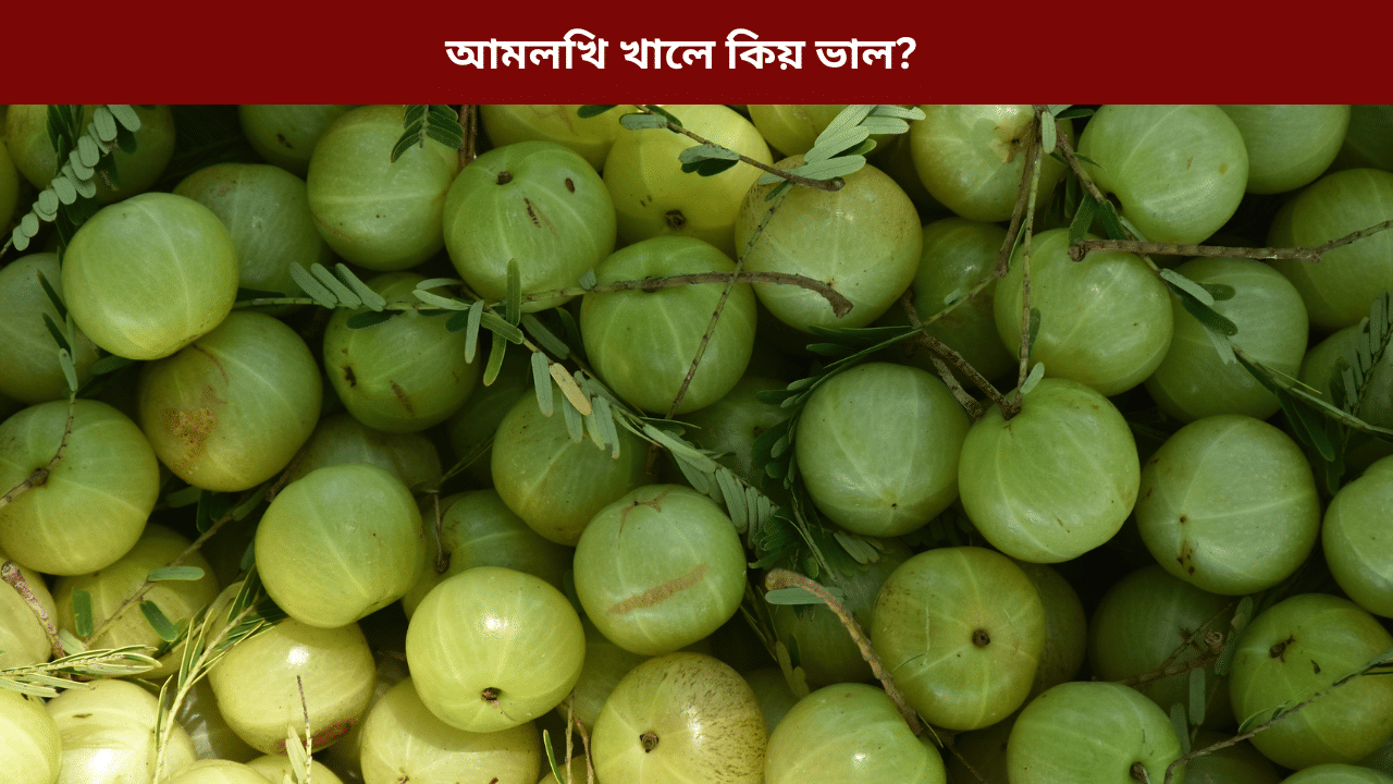 Amla Benefits: শীতকালত আমলখি খালে শৰীৰৰ কি কি লাভ হয়? জানক... Amla Benefits: শীতকালত আমলখি খালে শৰীৰৰ কি কি লাভ হয়? জানক...