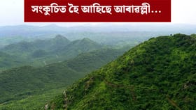 কংকালত পৰিণত পাহাৰ! ১৯৯০ চনৰ পৰা কি হৈছে আৰাৱল্লীত?...