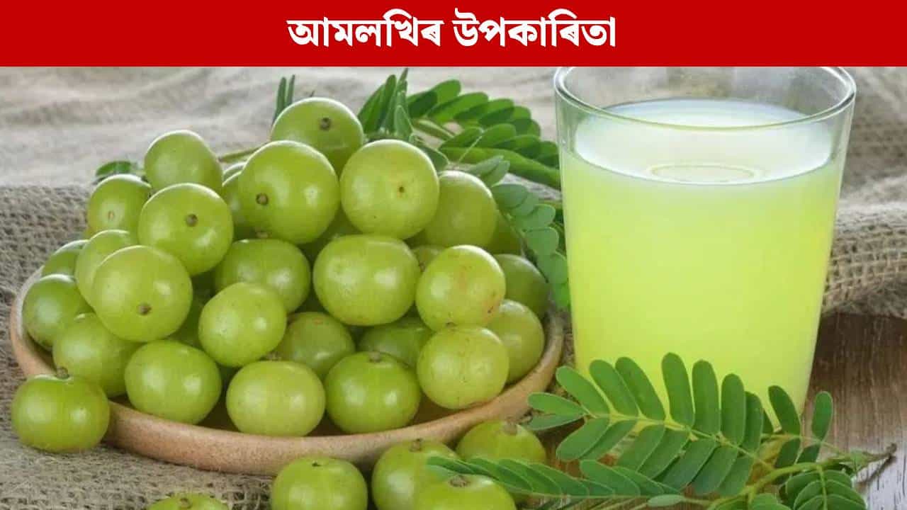 Amla: ৰাতিপুৱা খালী পেটত আমলখি খালে কি হয়? ৬টা উপকাৰৰ বিষয়ে জানক... Amla: ৰাতিপুৱা খালী পেটত আমলখি খালে কি হয়? ৬টা উপকাৰৰ বিষয়ে জানক...