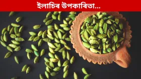 নিশা শুৱাৰ পূৰ্বে মাত্ৰ ২টাকৈ ইলাচি খালে কি হয়? জানক সকলো…...