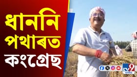 চৰাইদেউৰ ধাননি পথাৰত সোণাৰি যুৱ আৰু মহিলা কংগ্ৰেছৰ দল