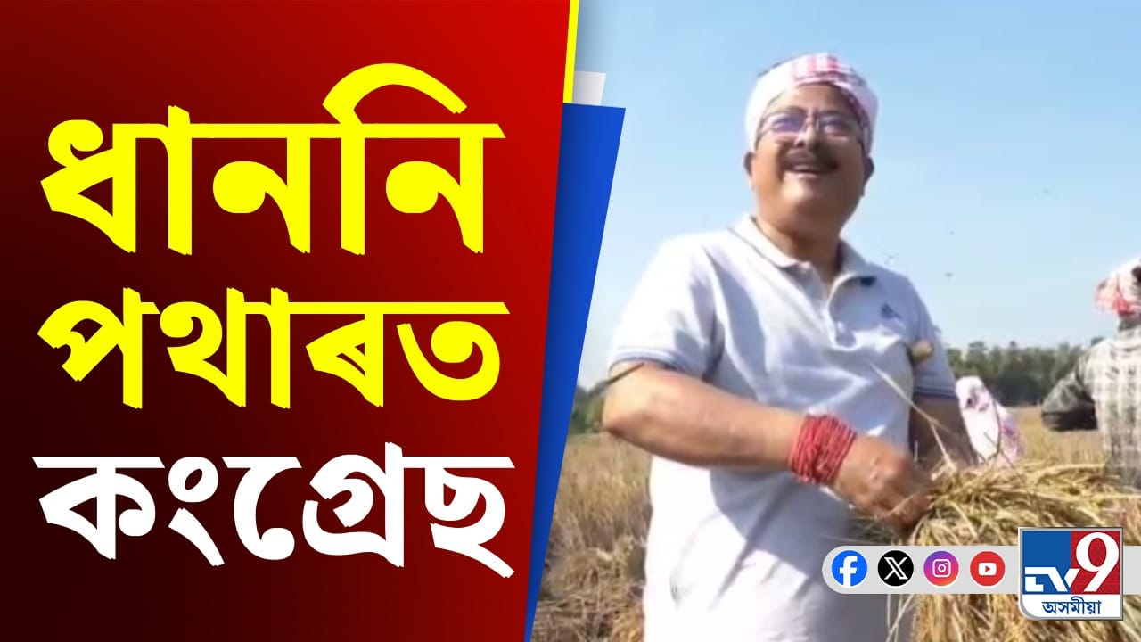 চৰাইদেউৰ ধাননি পথাৰত সোণাৰি যুৱ আৰু মহিলা কংগ্ৰেছৰ দল
