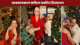 Christmas Celebration: তমন্নাৰ পৰা শিল্পালৈ…বলীউডৰ তাৰকাসকলে কেনেদৰে কৰিছে বৰদিন উদযাপন?...
