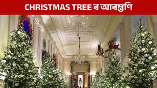 বৰদিনত কিয় Christmas tree ব্যৱহাৰ কৰে, এই গছজোপা কিয় ইমান বিশেষ?