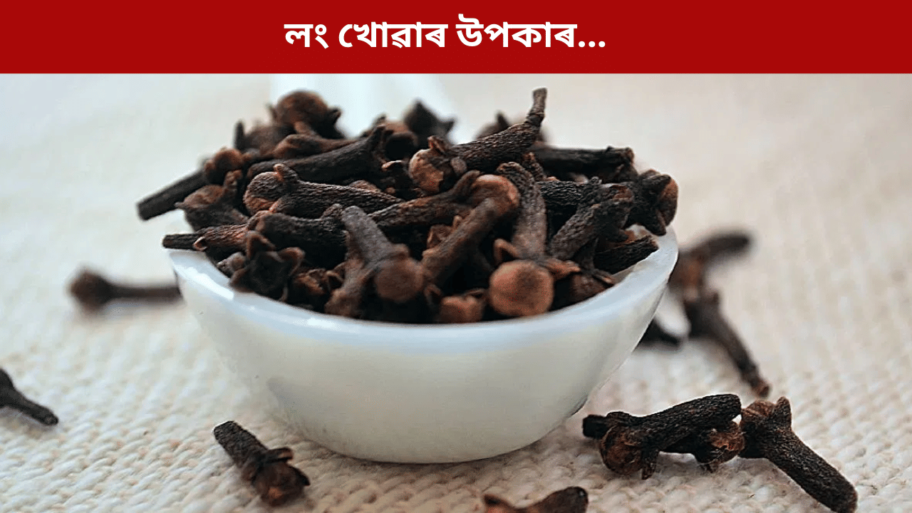 Clove Benefits: নিশা শোৱাৰ পূৰ্বে মাত্ৰ ১টাকৈ লং খালে শৰীৰৰ কি কি লাভ হয়? জানক বিশেষজ্ঞৰ পৰা... Clove Benefits: নিশা শোৱাৰ পূৰ্বে মাত্ৰ ১টাকৈ লং খালে শৰীৰৰ কি কি লাভ হয়? জানক বিশেষজ্ঞৰ পৰা...