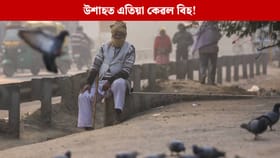 উশাহত এতিয়া কেৱল বিহ! প্ৰদূষণৰ সৈতে মোকাবিলাৰ বাবে প্ৰৱৰ্তন কৰা হ’ল GRAP-4, দেখা যাব এনে নিয়ম...