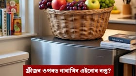 আহিব দৰিদ্ৰতা, কেতিয়াও ফ্ৰীজৰ ওপৰত নাৰাখিব এইবোৰ বস্তু!