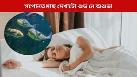 সপোনত আপুনিও কেতিয়াবা মাছ দেখিছে নেকি? পিছে এনে সপোন শুভ নে অশুভ!...