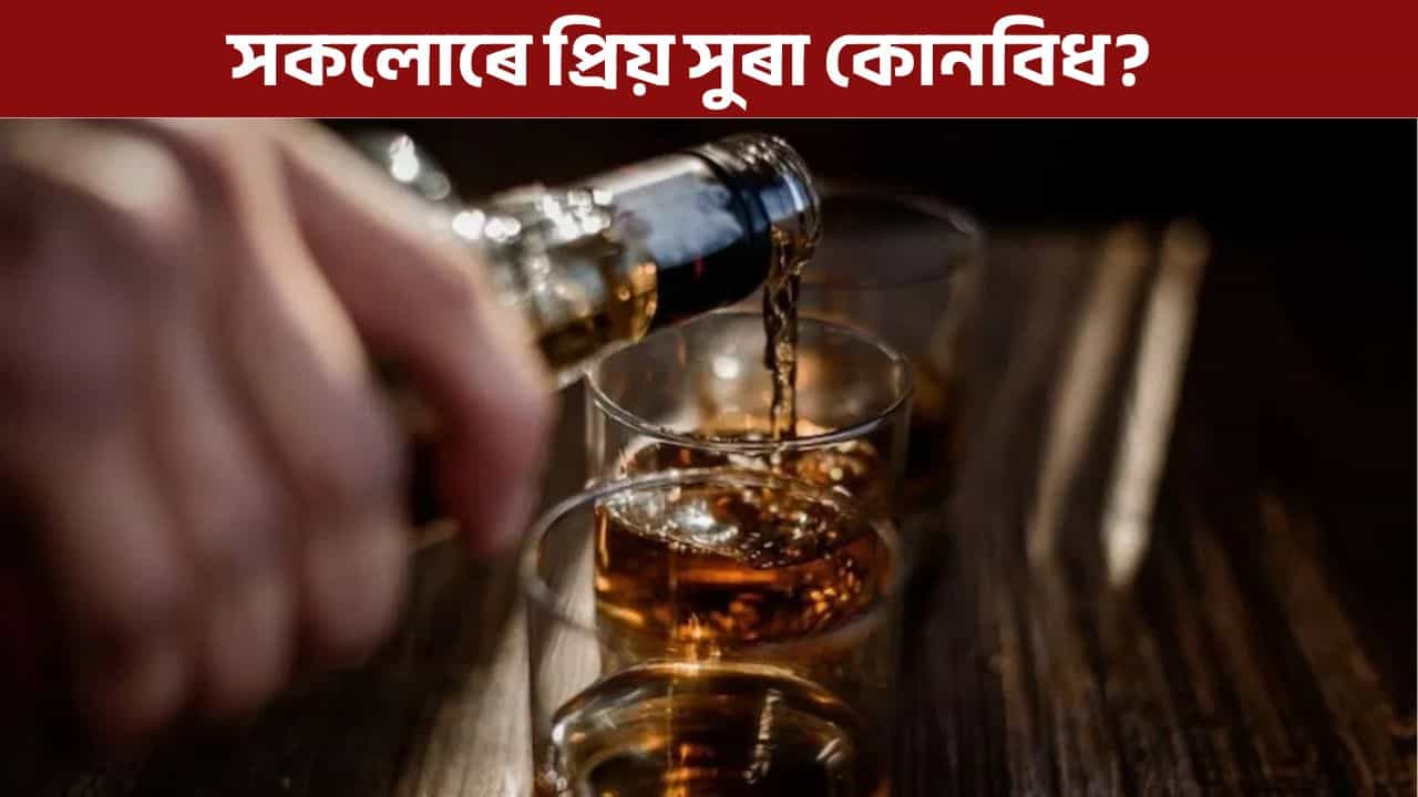 নৱবৰ্ষ উদযাপনৰ বাবে সকলোৰে প্ৰিয় এই সুৰা, মূল্য মাত্ৰ ৩৫৫ টকা!