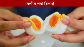 এই বিশেষ কণীয়ে বৃদ্ধি কৰে কৰ্কট ৰোগৰ আশংকা! জানক বিশেষজ্ঞৰ পৰা…