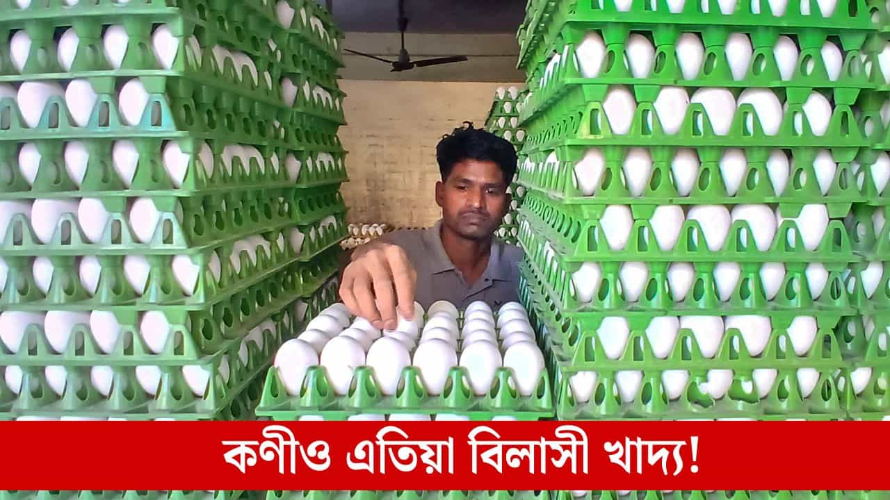 এটা কণী কিনিবলৈও এতিয়া চিন্তা কৰিবলগীয়া হৈছে সাধাৰণ মানুহে, এই অস্বাভাৱিক মূল্যবৃদ্ধি কিয়? এটা কণী কিনিবলৈও এতিয়া চিন্তা কৰিবলগীয়া হৈছে সাধাৰণ মানুহে, এই অস্বাভাৱিক মূল্যবৃদ্ধি কিয়?