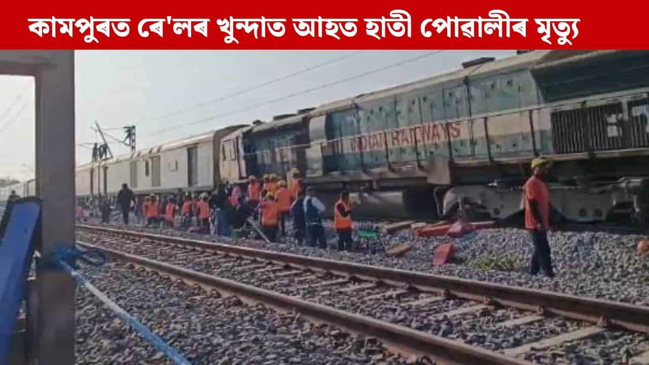 মৰ্মান্তিক! কামপুৰৰ ৰেল খুন্দাত মৃত্যু হোৱা হাতীৰ সংখ্যা ৮টালৈ বৃদ্ধি...