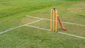 অসৎ আচৰণ! অসম ক্ৰিকেট সন্থাই নিলম্বন কৰিলে চাৰিগৰাকী ৰাজ্যিক পৰ্যায়ৰ খেলুৱৈক