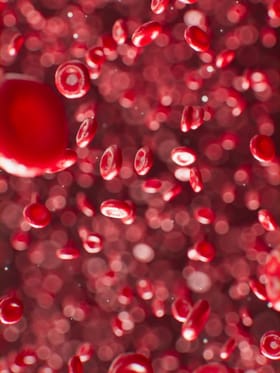 দেহত হিম’গ্লবিন কম হ’লে দেখা দিব পাৰে এই ৭টা লক্ষণ, এতিয়াই জানি লওক