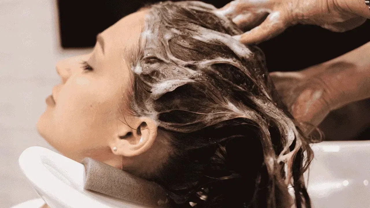 শুকান চুলিৰ সৈতে শীতকালত সংগ্ৰাম কৰিব লগা হয়। শুকানতা আৰু নিস্তেজতা দূৰ কৰিবলৈ চুলিৰ সঠিক যত্ন ল’বলৈ আৰম্ভ কৰাটো গুৰুত্বপূৰ্ণ। শুকান চুলিৰ লগতে মূৰৰ ছাল খজুৱতি, উফি, অত্যধিক চুলি সৰা আদিও সাধাৰণ সমস্যা। এই সময়ত ছালৰ যত্ন ল’বলৈ মইশ্ব’ৰাইজাৰ ব্যৱহাৰ কৰাটো যেনেকৈ চুলিত আৰ্দ্ৰতা বজাই ৰখাটোও প্ৰয়োজনীয়।