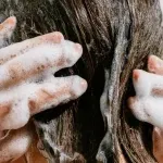 মইশ্ব’ৰাইজাৰ থকা কণ্ডিচনাৰ প্ৰয়োগ কৰিলে ভাল ফলাফল পোৱা যাব। অত্যধিক চুলিত ৰং কৰা বা ক্ষতিকাৰক ৰাসায়নিক পদাৰ্থ থকা চেম্পু পৰিহাৰ কৰক।