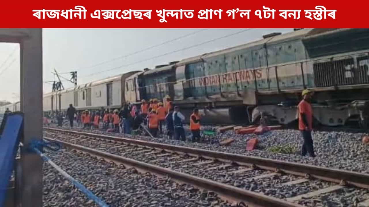 কামপুৰত শোকাৱহ দুৰ্ঘটনা, দ্ৰুতবেগী ৰাজধানী এক্সপ্ৰেছৰ খুন্দাত মৃত্যু ৭টা বন্য হস্তীৰ কামপুৰত শোকাৱহ দুৰ্ঘটনা, দ্ৰুতবেগী ৰাজধানী এক্সপ্ৰেছৰ খুন্দাত মৃত্যু ৭টা বন্য হস্তীৰ