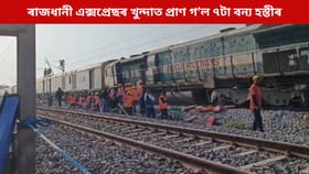 কামপুৰত শোকাৱহ দুৰ্ঘটনা, দ্ৰুতবেগী ৰাজধানী এক্সপ্ৰেছৰ খুন্দাত মৃত্যু ৭টা বন্য হস্তীৰ...