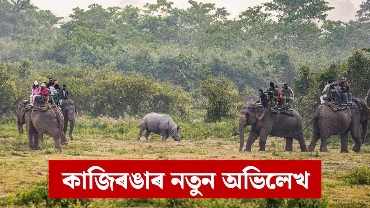 সৰ্বাধিক বিদেশী পৰ্যটকৰ আগমনেৰে কাজিৰঙাই লিখিছে নতুন ইতিহাস... সৰ্বাধিক বিদেশী পৰ্যটকৰ আগমনেৰে কাজিৰঙাই লিখিছে নতুন ইতিহাস...