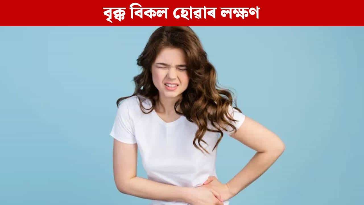 Kidney: বৃক্ক বিকল হলে পুৱাৰ ভাগত শৰীৰত এইবোৰ লক্ষণ দেখা দিয়ে, জানক... Kidney: বৃক্ক বিকল হলে পুৱাৰ ভাগত শৰীৰত এইবোৰ লক্ষণ দেখা দিয়ে, জানক...