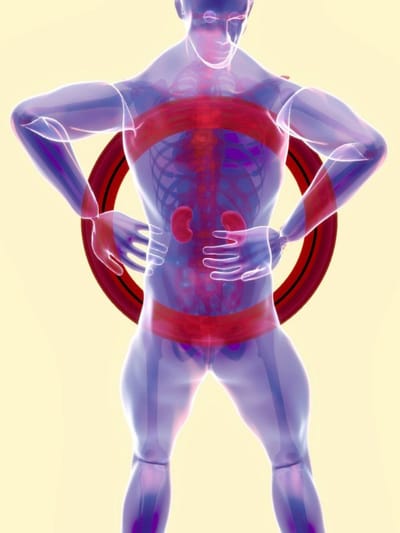 বৃক্কৰ ক্ষতিৰ সম্ভাৱনা ৰোধ কৰে এই ৫ বিধ খাদ্যই, নিয়মিত খালে পাব সুফল