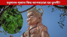 হনুমানৰ পূজাত কিয় আগবঢ়োৱা হয় তুলসী? আঁৰৰ ধাৰ্মিক মহত্ব জানি লওক