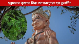 হনুমানৰ পূজাত কিয় আগবঢ়োৱা হয় তুলসী? আঁৰৰ এই ধাৰ্মিক মহত্ব জানি লওক এতিয়াই…