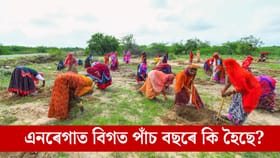 এনৰেগাত বিফলতা! এখনো ৰাজ্য়ত হোৱা নাই সম্পূৰ্ণ ১০০ দিনৰ কাম