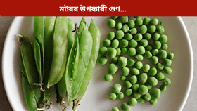 প্ৰতিদিনে সেউজীয়া মটৰ খালে কি কি ৰোগ ভাল হয়? জানক সকলো...