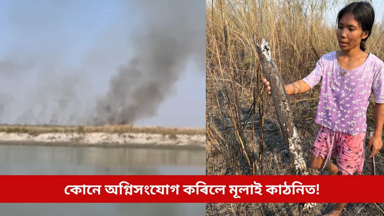কোনে অগ্নিসংযোগ কৰিলে যাদৱ পায়েঙে গঢ় দিয়া মূলাই কাঠনিত? জুয়ে দহি নিলে বিস্তীৰ্ণ বনাঞ্চল