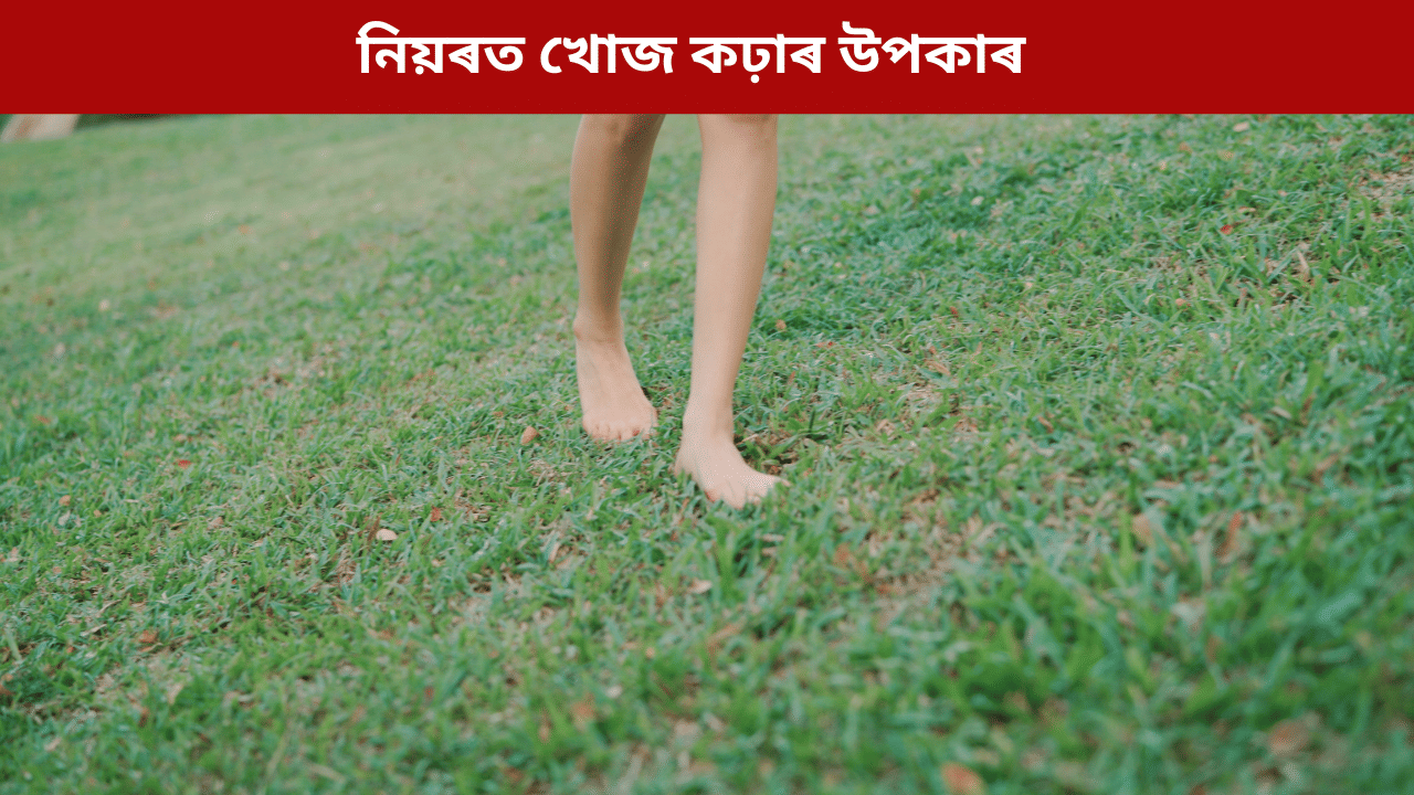 Morning Walk: পুৱা খালী ভৰিৰে নিয়ৰত খোজ কাঢ়িলে শৰীৰৰ কি কি লাভ হয়? জানক... Morning Walk: পুৱা খালী ভৰিৰে নিয়ৰত খোজ কাঢ়িলে শৰীৰৰ কি কি লাভ হয়? জানক...