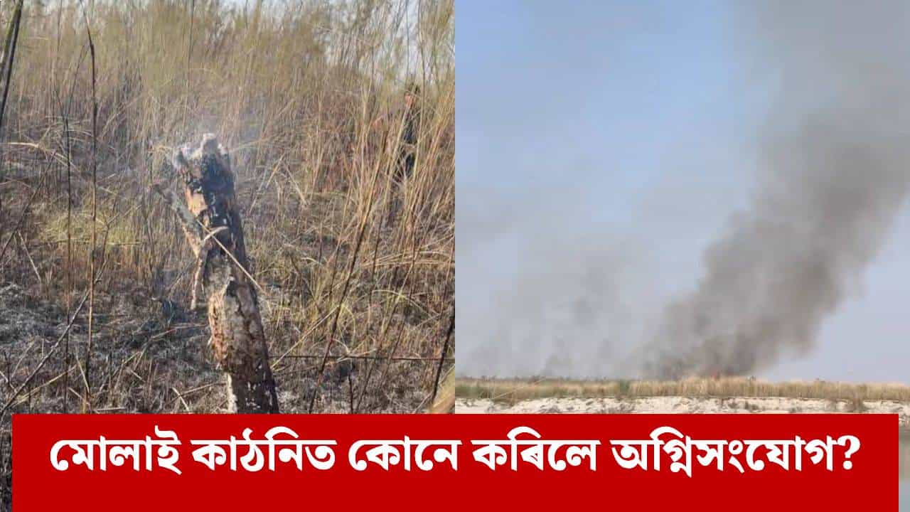 মোলাই কাঠনিত অগ্নিসংযোগৰ ঘটনাৰ উচিত তদন্তৰ দাবী গৌৰৱ গগৈৰ মোলাই কাঠনিত অগ্নিসংযোগৰ ঘটনাৰ উচিত তদন্তৰ দাবী গৌৰৱ গগৈৰ