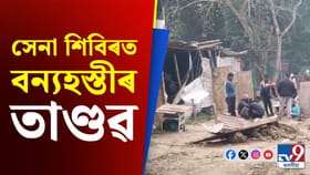 নাৰেংগী সেনা শিবিৰত বন্যহস্তীৰ আক্ৰমণত আহত দুজন শ্ৰমিক