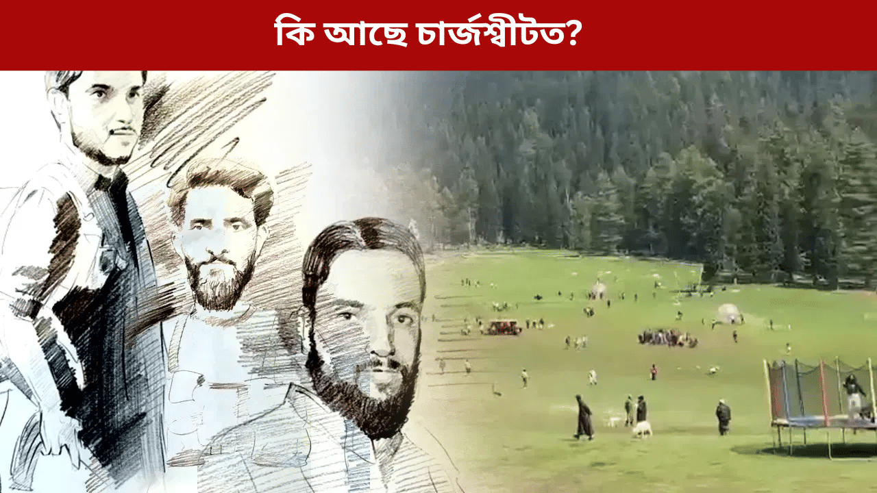 পহলগাম কাণ্ডৰ দোষী কোন? NIA ৰ চাৰ্জশ্বীটত আছে কাৰ কাৰ নাম... পহলগাম কাণ্ডৰ দোষী কোন? NIA ৰ চাৰ্জশ্বীটত আছে কাৰ কাৰ নাম...