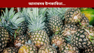 Pineapple Benefits: আনাৰস খালে কি কি ৰোগৰ আশংকা কম হয়? জানক…