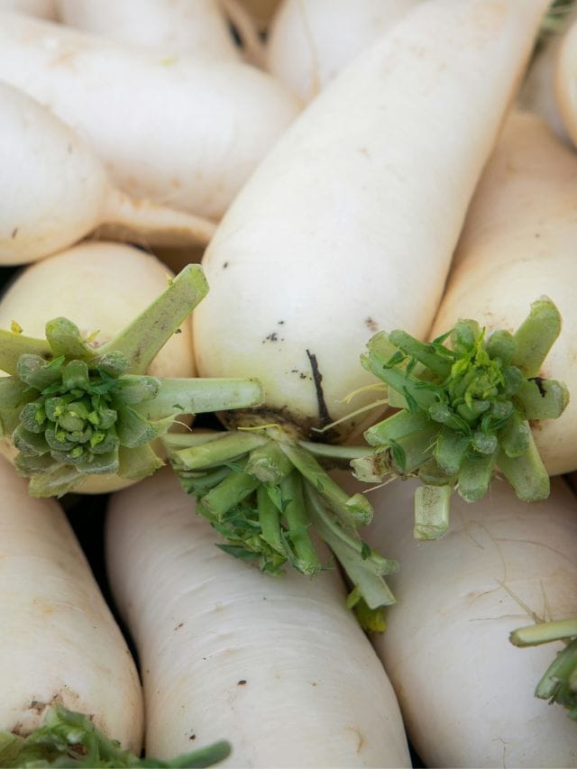 উপহাসৰ সামগ্ৰী নহয় মূলা, এনে গুণাৱলীৰে শীতকালৰ ছুপাৰফুড এইবিধ পাচলি