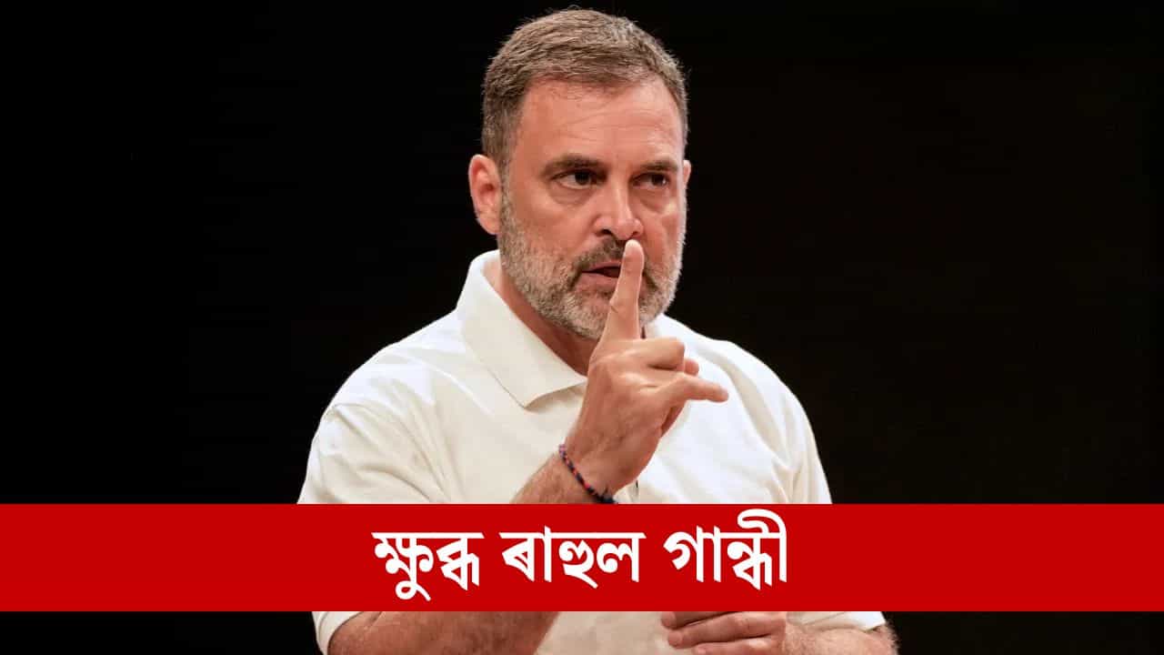 পুটিনক সাক্ষাৎ কৰিব খোজে ৰাহুল গান্ধীয়ে, চৰকাৰক কলে- আমিও দেশক প্ৰতিনিধিত্ব কৰোঁ পুটিনক সাক্ষাৎ কৰিব খোজে ৰাহুল গান্ধীয়ে, চৰকাৰক কলে- আমিও দেশক প্ৰতিনিধিত্ব কৰোঁ