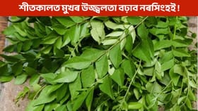 শীতকালত নৰসিংহৰ পাতে উজ্জ্বল কৰিব আপোনাৰ ছাল, মাথোঁ ব্যৱহাৰত নকৰিব ভুল!...