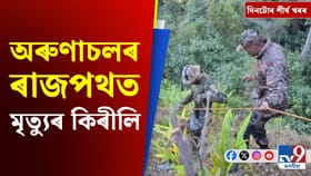 অৰুণাচলৰ পথ দুৰ্ঘটনাৰ পৰা ভাৰত-দঃ আফ্ৰিকাৰ টি-২০ মেচলৈ শীৰ্ষ খবৰ