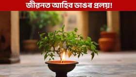 ভুলতো নকৰিব তুলসী পূজাৰ সময়ত এইবোৰ কাম!