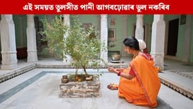 এই তিনিটা বিশেষ সময়ত ভুলতো পানী আগনবঢ়াব তুলসীত