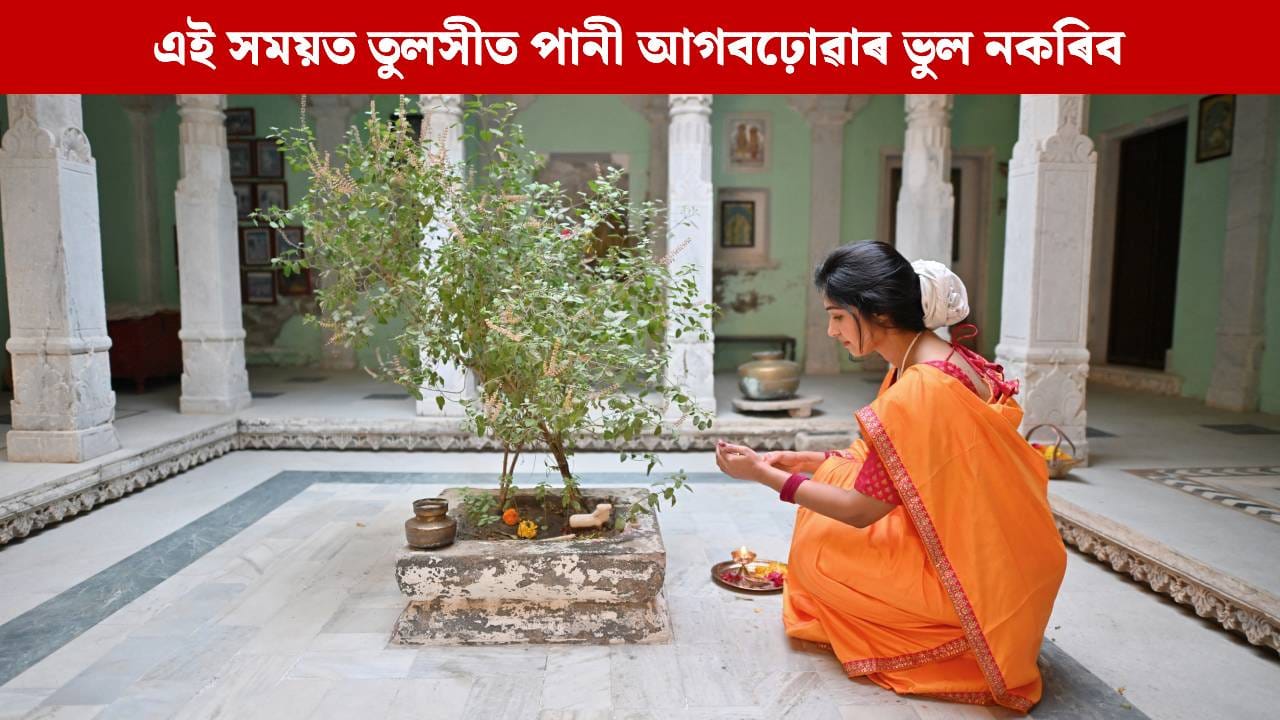 এই তিনিটা বিশেষ সময়ত ভুলতো পানী আগনবঢ়াব তুলসীত, অন্যথা দূৰ হ’ব ঘৰৰ সুখ-সমৃদ্ধি