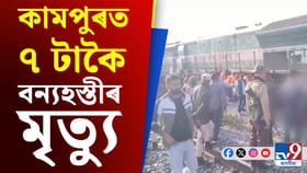 কামপুৰত দ্ৰুতবেগী ৰাজধানী এক্সপ্ৰেছৰ খুন্দাত মৃত্যু ৭টা বন্য হস্তীৰ...