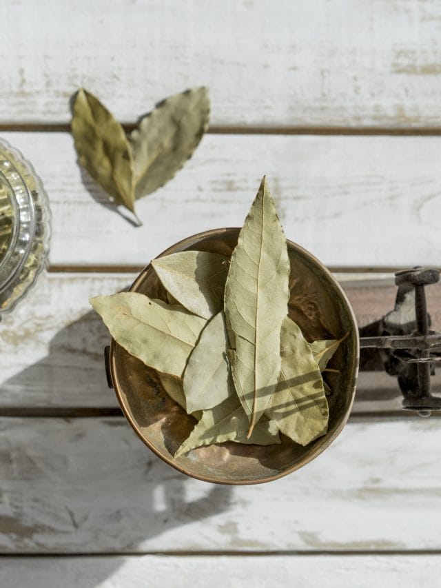 তেজ পাতে কি কি ৰোগ দূৰ কৰে? ইয়াৰ ৫ টা বিশেষ উপকাৰিতা জানক