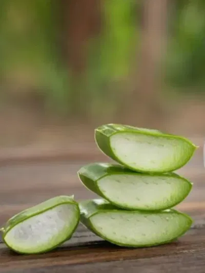 উজ্জ্বল আৰু কোমল ছালৰ বাবে কিদৰে ব্যৱহাৰ কৰিব এলোভেৰা জেল?