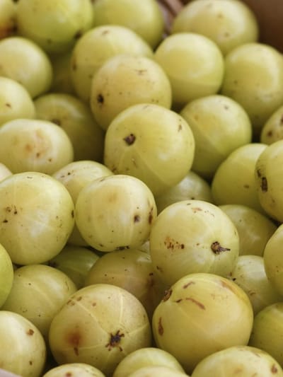 আলমখি নে আলমখিৰ ৰস ! ছাল, চুলি আৰু হজম শক্তিৰ বাবে কোনটো বেছি উপকাৰী?