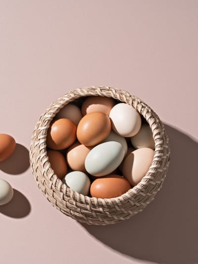 বগা নে ব্ৰাউন ৰঙৰ কণী বেছি উপকাৰী ? বিশেষজ্ঞৰ মতে কোনটো খাব লাগে ? জানক